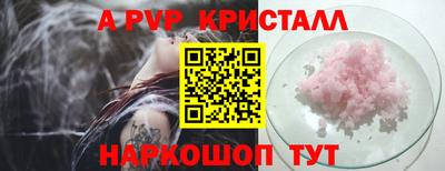 стаф Нальчик