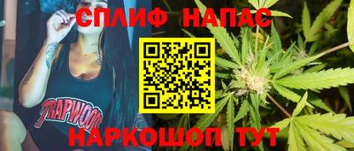 стаф Нальчик