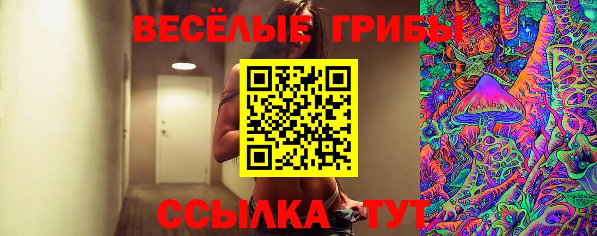 Галлюциногенные грибы прущие грибы Нижний Новгород