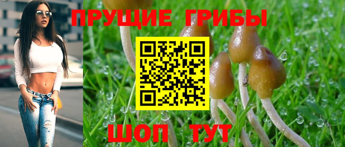 Нижний Новгород  Псилоцибиновые грибы мухоморы  Вход с VPN 